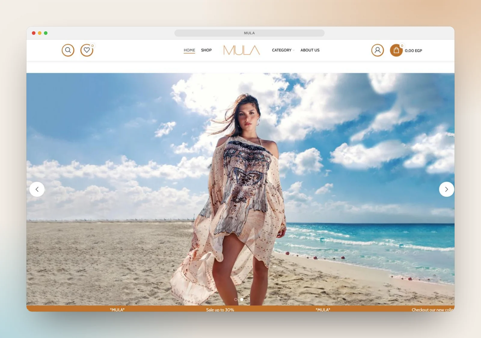 MULA website home page designed and developed by Lynked